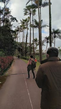 美らヤシパークオキナワ・東南植物楽園に投稿された画像（2022/12/25）