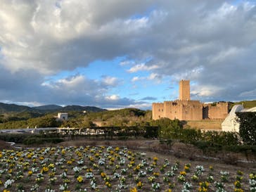 志摩スペイン村パルケエスパーニャに投稿された画像（2022/12/25）