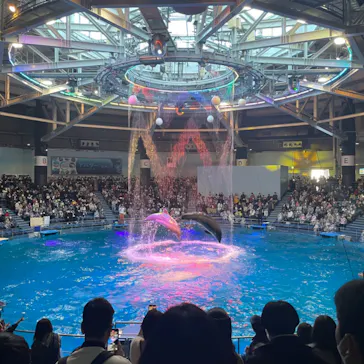 マクセル アクアパーク品川に投稿された画像（2022/12/25）