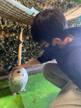 ふくろうカフェ　fuku（フク）に投稿された画像（2022/12/25）