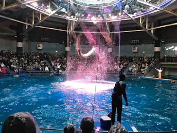 マクセル アクアパーク品川に投稿された画像（2022/12/25）