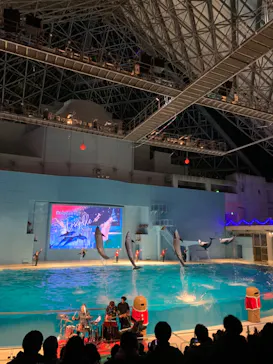 横浜・八景島シーパラダイスに投稿された画像（2022/12/25）