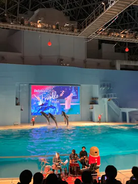 横浜・八景島シーパラダイスに投稿された画像（2022/12/25）