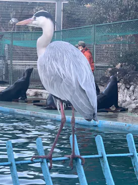 天王寺動物園に投稿された画像（2022/12/25）