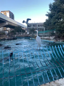天王寺動物園に投稿された画像（2022/12/25）