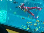 箱根園水族館に投稿された画像（2022/12/25）