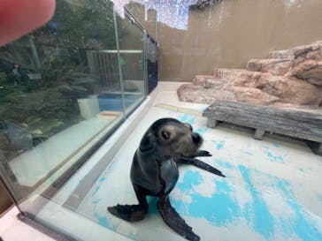 サンシャイン水族館に投稿された画像（2022/12/25）