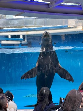 サンシャイン水族館に投稿された画像（2022/12/25）