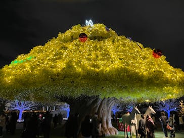 東京メガイルミに投稿された画像（2022/12/25）