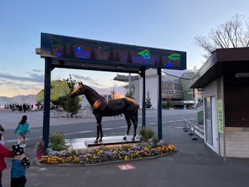 東京メガイルミに投稿された画像（2022/12/25）