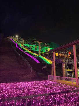 さがみ湖MORI MORIに投稿された画像（2022/12/25）