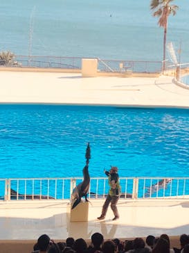 マリンワールド海の中道に投稿された画像（2022/12/25）