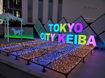 東京メガイルミに投稿された画像（2022/12/25）