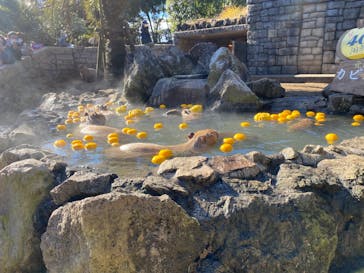 伊豆シャボテン動物公園に投稿された画像（2022/12/25）
