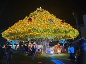 東京メガイルミに投稿された画像（2022/12/25）