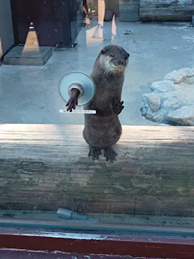 横浜・八景島シーパラダイスに投稿された画像（2022/12/25）