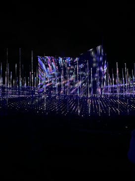 なばなの里に投稿された画像（2022/12/25）