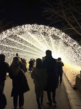 なばなの里に投稿された画像（2022/12/25）