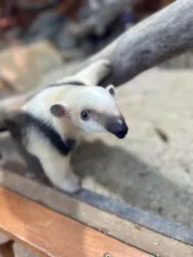 神戸どうぶつ王国に投稿された画像（2022/12/25）