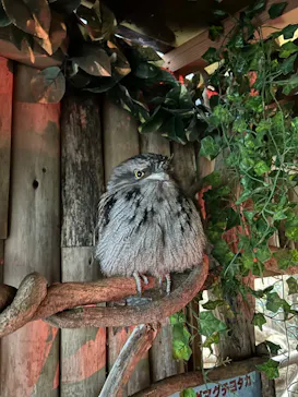 神戸どうぶつ王国に投稿された画像（2022/12/25）