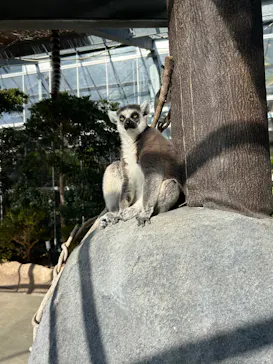 神戸どうぶつ王国に投稿された画像（2022/12/25）