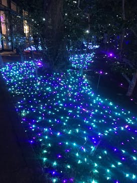 江の島シーキャンドルに投稿された画像（2022/12/25）