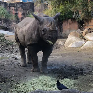 天王寺動物園に投稿された画像（2022/12/25）