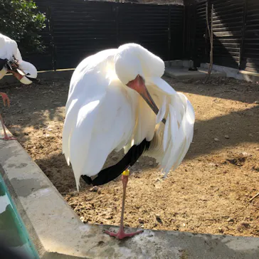 天王寺動物園に投稿された画像（2022/12/25）