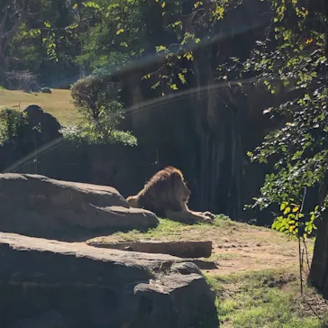 天王寺動物園に投稿された画像（2022/12/25）