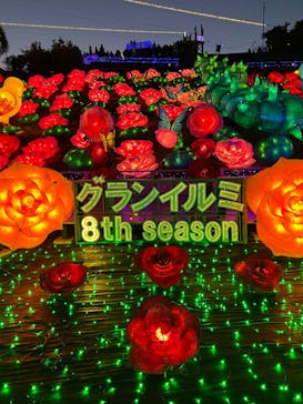 伊豆ぐらんぱる公園に投稿された画像（2022/12/25）