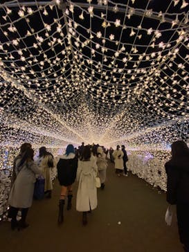 東京メガイルミに投稿された画像（2022/12/25）