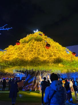 東京メガイルミに投稿された画像（2022/12/25）