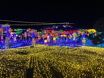 伊豆ぐらんぱる公園に投稿された画像（2022/12/25）