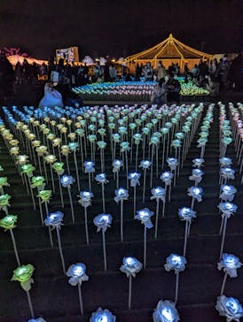 東京メガイルミに投稿された画像（2022/12/25）