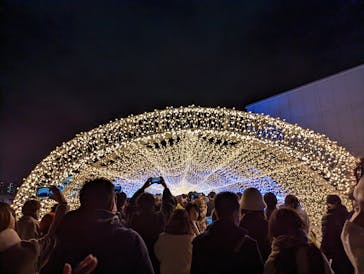 東京メガイルミに投稿された画像（2022/12/25）