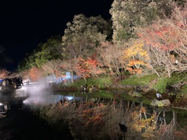 なばなの里に投稿された画像（2022/12/25）