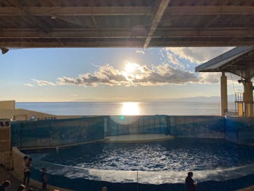 新江ノ島水族館に投稿された画像（2022/12/25）