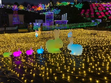 伊豆ぐらんぱる公園に投稿された画像（2022/12/25）