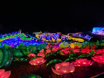 伊豆ぐらんぱる公園に投稿された画像（2022/12/25）