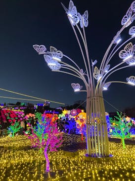 伊豆ぐらんぱる公園に投稿された画像（2022/12/25）