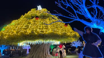 東京メガイルミに投稿された画像（2022/12/25）