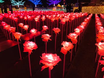 東京メガイルミに投稿された画像（2022/12/25）