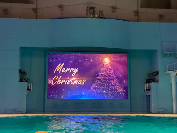 横浜・八景島シーパラダイスに投稿された画像（2022/12/25）