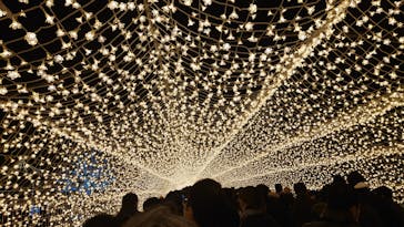 東京メガイルミに投稿された画像（2022/12/25）