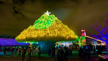 東京メガイルミに投稿された画像（2022/12/25）