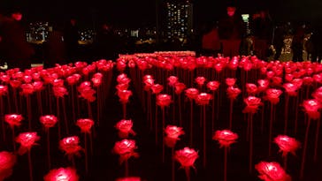 東京メガイルミに投稿された画像（2022/12/25）