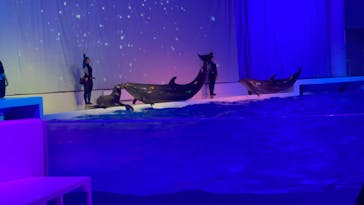 アクアワールド茨城県大洗水族館に投稿された画像（2022/12/25）