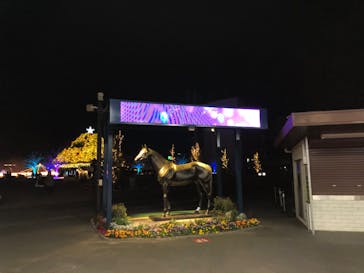 東京メガイルミに投稿された画像（2022/12/25）