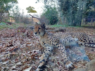 よこはま動物園ズーラシアに投稿された画像（2022/12/25）