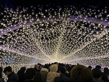 東京メガイルミに投稿された画像（2022/12/25）